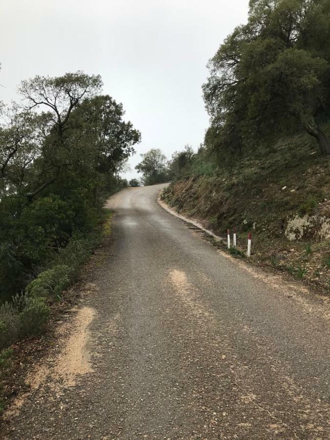 Sardegna Vicino Ad Olbia "La Casa Nel Vicolo" Villa Berchidda Exterior foto