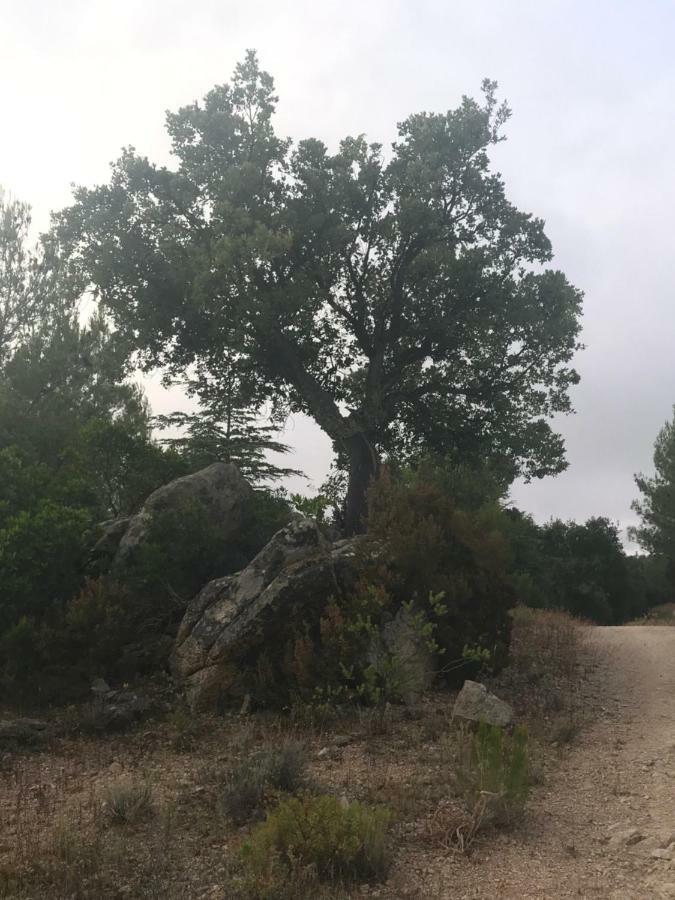 Sardegna Vicino Ad Olbia "La Casa Nel Vicolo" Villa Berchidda Exterior foto